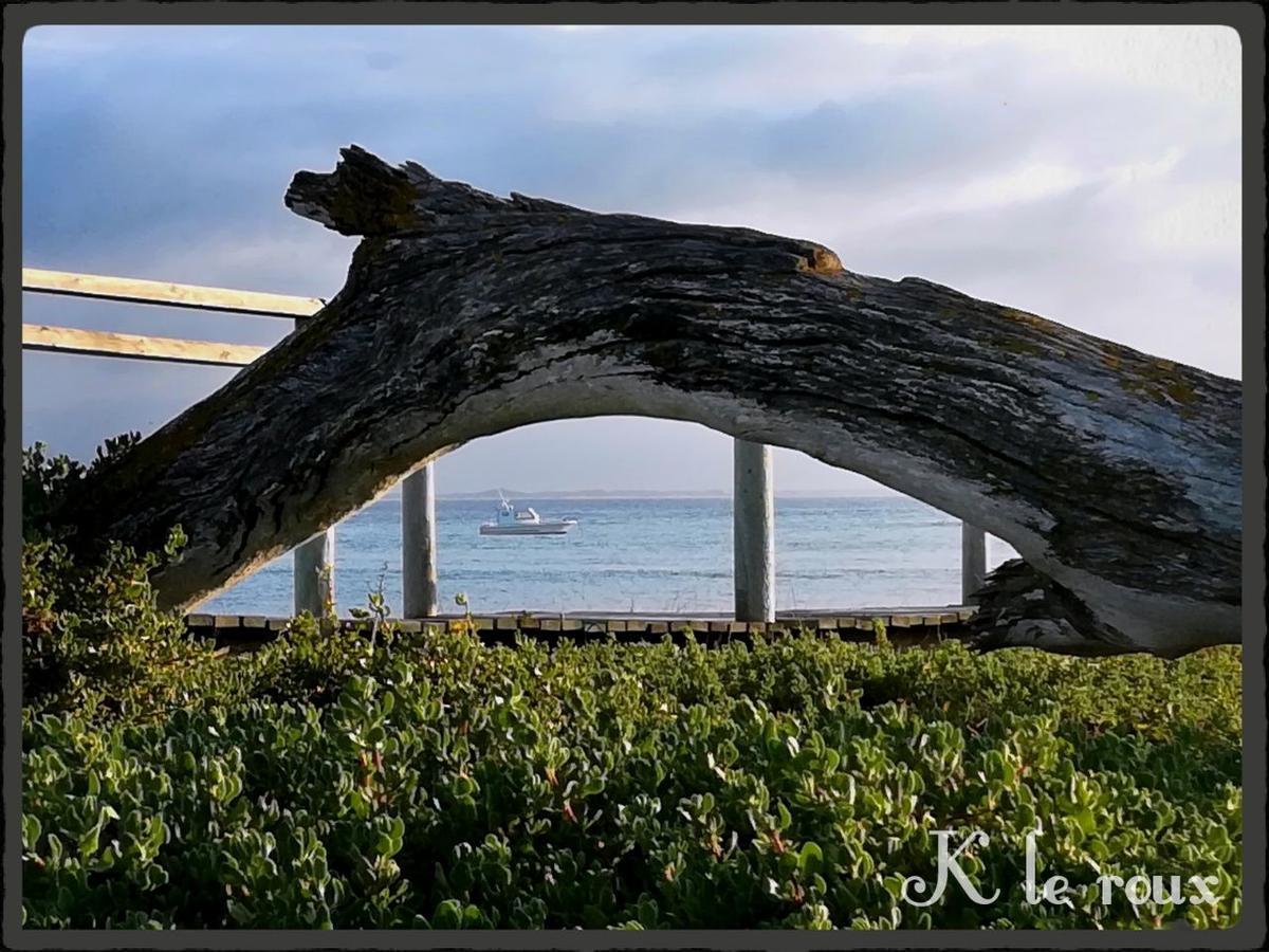Colours Of The Sea Apartment Struisbaai Εξωτερικό φωτογραφία
